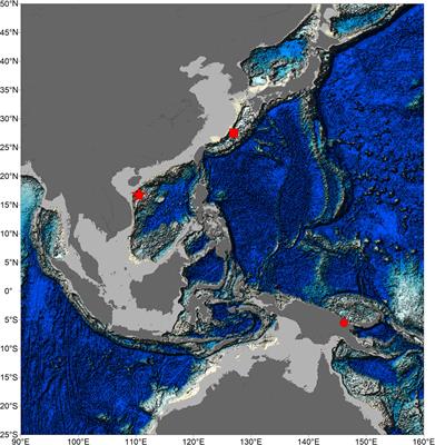 Stirring the Deep, Disentangling the Complexity: Report on the Third Species of Thermochiton (Mollusca: Polyplacophora) From Haima Cold Seeps